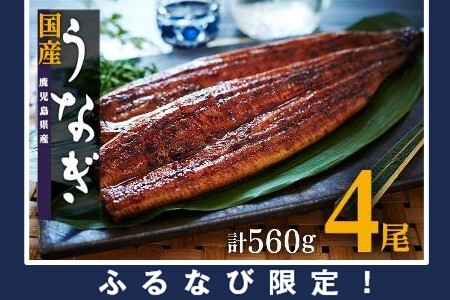 【ふるなび限定】国産 うなぎ 長蒲焼 たれ たっぷり 8袋付！140g×4尾（計560g）FN-Limited ｜うなぎ