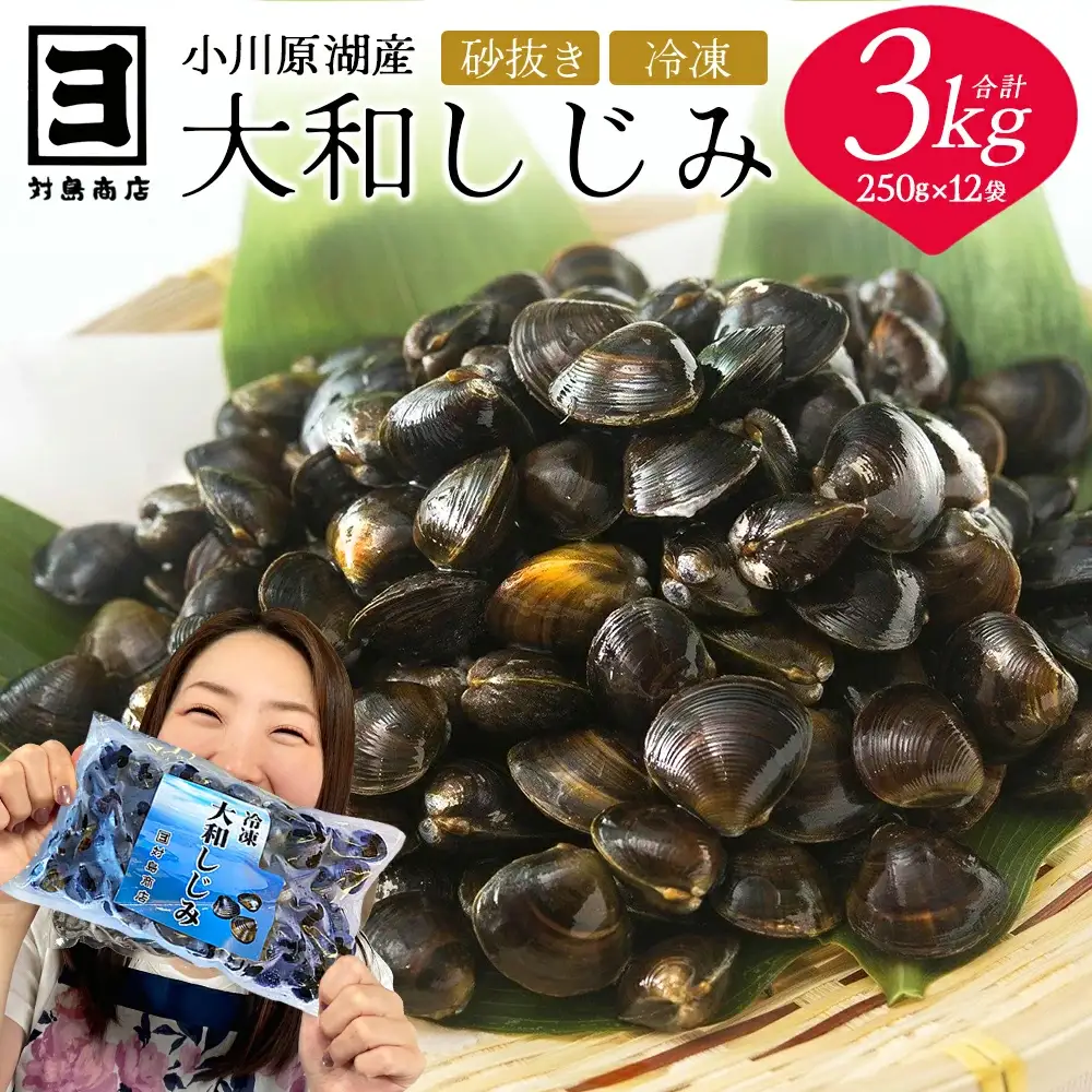 砂抜き済みで手間いらず！冷凍・小川原湖産大和しじみ3kg（250g×12袋）【02408-0086】