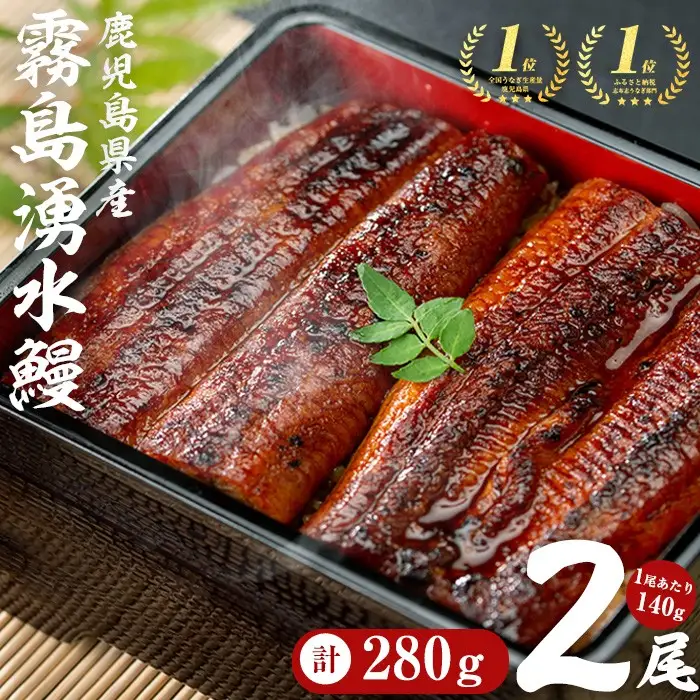 国産 うなぎ 蒲焼 2尾 霧島湧水鰻の蒲焼き 140g以上×2尾＜計280g以上＞ うなぎ 鰻 ウナギ 2尾 国産 九州産 蒲焼き 【志布志市人気No.1お礼の品】 a1-157-yy