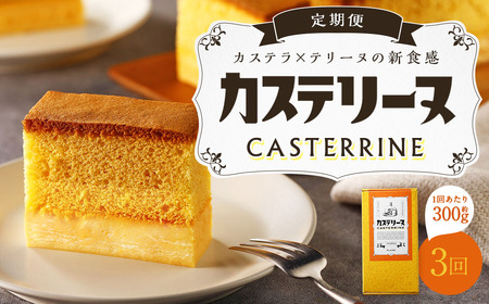 【全3回定期便】長崎カステリーヌ 1本 合計3本 ／ タナカヤ カステラ かすてら スイーツ デザート お菓子 菓子 長崎県 長崎市