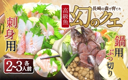 長崎の森で育てた『幻のクエ』【ハーフセット】 刺身用 2〜3人前・鍋用 2～3人前（1kg～2kg前後）／ 海鮮 魚介類 クエ  刺身 鍋 高級魚 長崎産