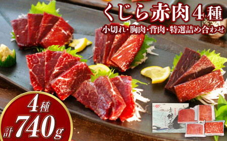 【7営業日以内発送】くじら 赤肉4種詰め合わせ (小切れ・胸肉・背肉・特選) 合計740g ／ 鯨 クジラ肉 鯨料理 セット 詰め合わせ 珍味