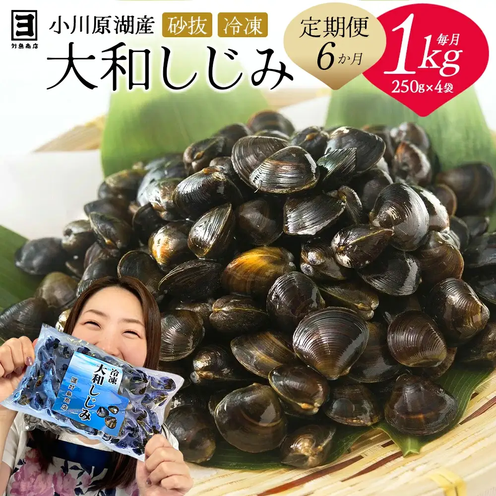 【 6ヵ月定期便 】砂抜き済みで手間いらず！冷凍・小川原湖産大和しじみ1kg（250g×4袋）【02408-0090】