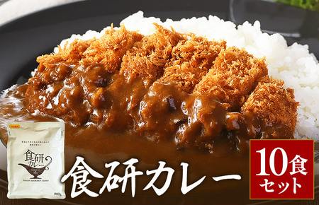 食研カレー２００ｇ×１０袋 【VB02360SET10】