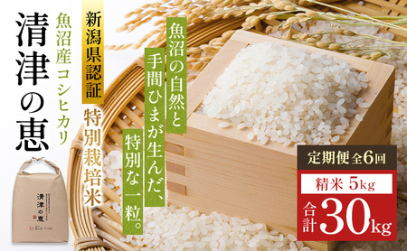 【通年受付】令和7年産魚沼産特別栽培米コシヒカリ［清津の恵］精米5kg　全6回 十日町市 十日町 米