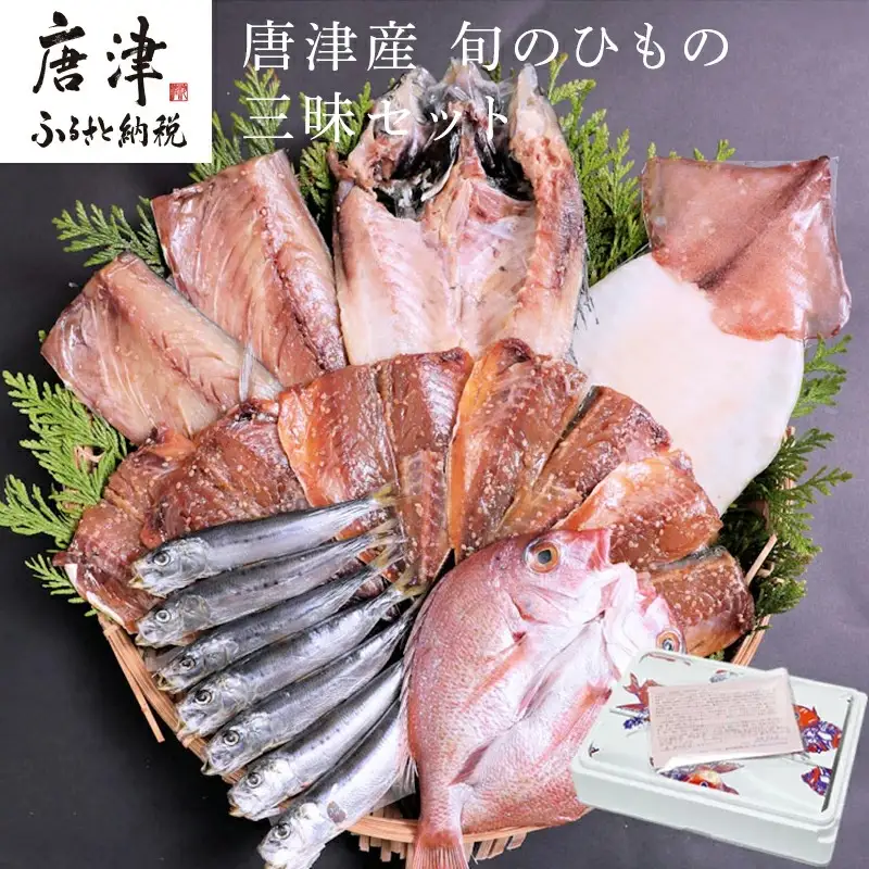 グルメ大賞受賞 唐津産 旬のひもの三昧セット 唐津産 旬サバ 旬アジみりん 金時鯛一夜干し(旬の白身魚干物)呼子 イカ一夜干し 大分産真イワシ丸干し トロあじ開き 6種17尾 干物セット 干物
