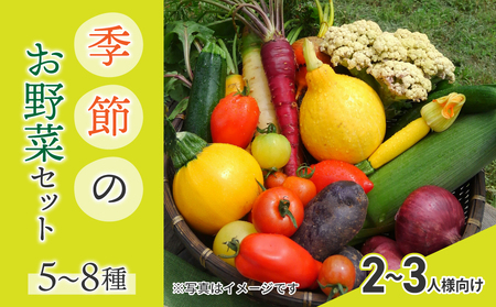 【アグロノーム】季節のお野菜セット（２～３人様向け）