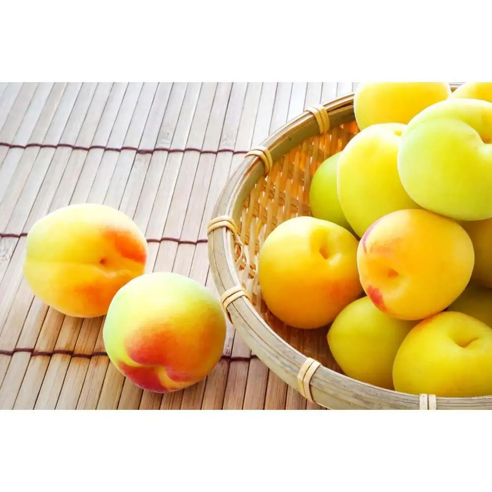 ［梅干・梅酒用］大玉4Lサイズ約2kg 熟南高 生梅 赤秀品＜2026年6月上旬～7月7日発送予定＞［ART01］