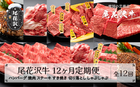 【定期便 全12回】山形県産 黒毛和牛 尾花沢牛 焼肉 ハンバーグ ステーキ すき焼き しゃぶしゃぶ nj-tkogx12