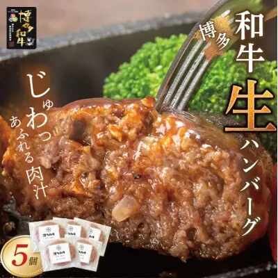 Y09-09  博多和牛 生ハンバーグ 5個セット ハンバーグ