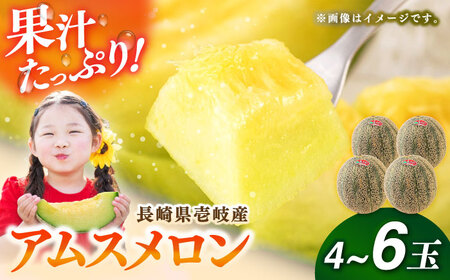 【2026年6月中旬以降順次発送】【数量限定】 壱岐産 アムスメロン 4〜6玉（5kg～6kg前後） 《壱岐市》【壱岐市農業協同組合】[JBO017] 