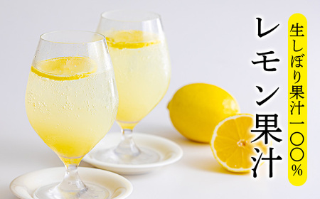 《ビタミンCが豊富!》レモンの生搾り果汁 大容量・業務用1L 香酸柑橘  TF0790-P00074