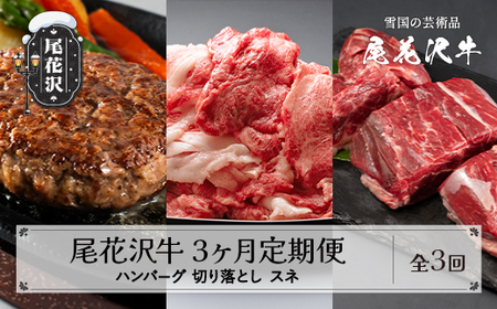 【定期便 全3回】山形県産 黒毛和牛 尾花沢牛 ハンバーグ 訳あり 切り落とし スネ肉 家計応援 nj-tkogk3