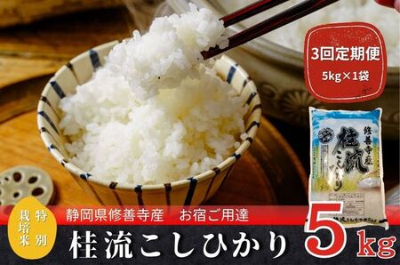 米【３回定期便】 桂流 こしひかり 米 （ 数量限定 100 セット）米 特別栽培米 米 ５㎏　045-003