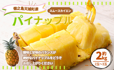 【先行受付】徳之島 天城町産 パイナップル 約2kg 2玉～3玉 スムースカイエン パイン フルーツ 果物