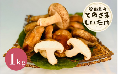 とのさましいたけ 1kg (250g×4袋) 福田農産 | 新潟県 しいたけ