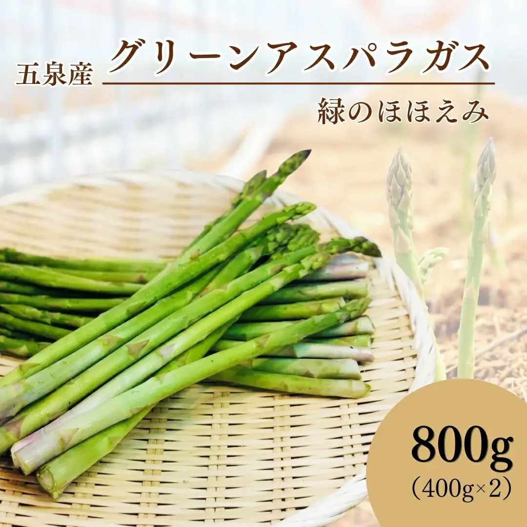【先行予約】五泉産 グリーンアスパラガス 800g (400g×2)