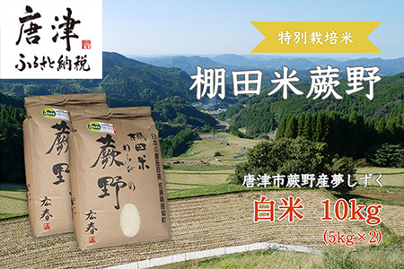 特別栽培棚田米「蕨野」5kg×2袋(合計10kg)  家庭排水が一切入らない自然水で作られたお米 10日に1回精米で新米のような味わい