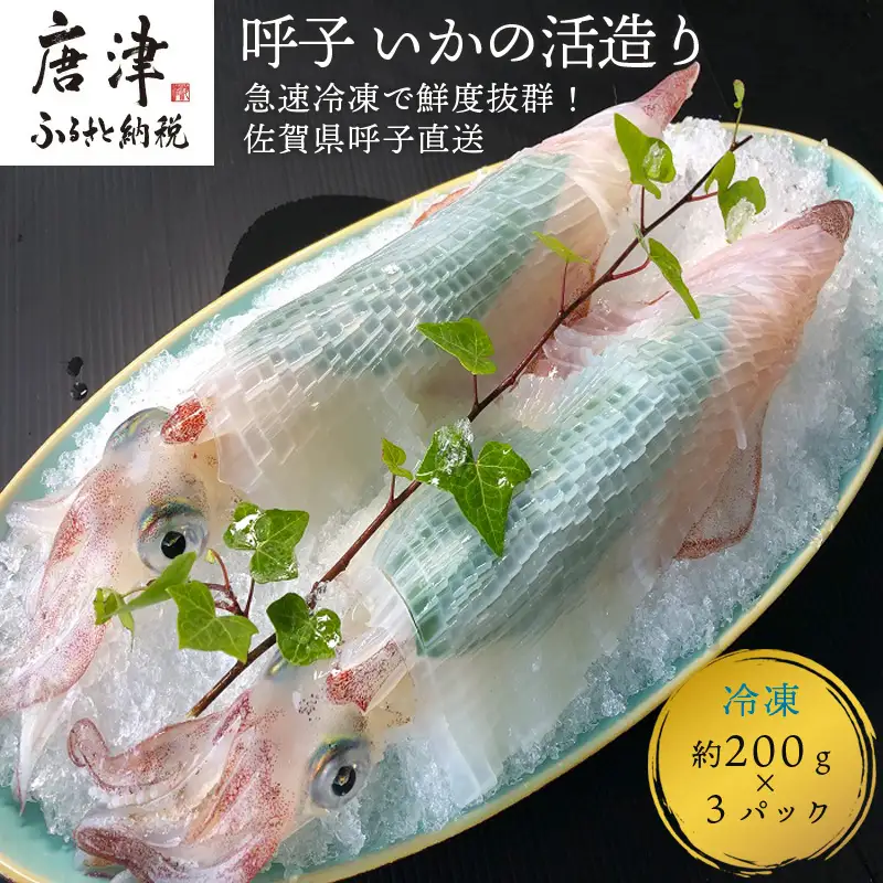 『先行予約』呼子のいか活造り3杯! コリコリ甘い鮮度抜群の透明感! 約200g×3(合計約600g) 刺身 ギフト 冷凍※水揚げあり次第6月以降順次発送させていただきます。