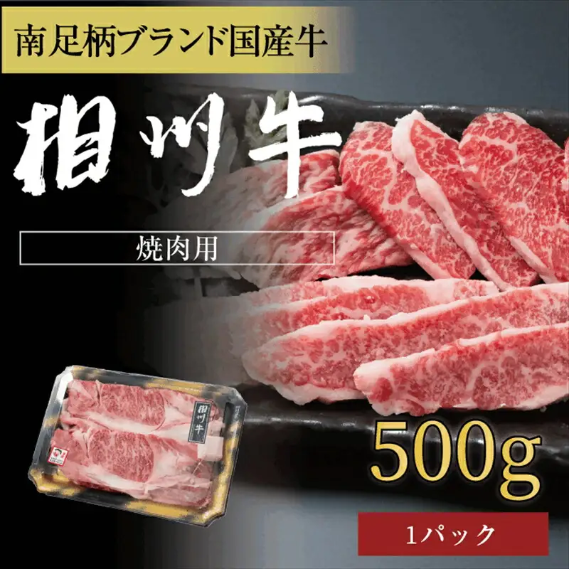相州牛 焼肉・網焼き用カルビ　500g（厚切り）【 牛肉 お肉 ブランド牛 神奈川県 南足柄市 】