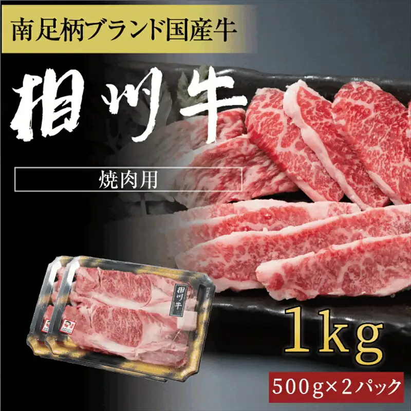 相州牛 焼肉・網焼き用カルビ　1.0kg（厚切り） 【 牛肉 お肉 ブランド牛 神奈川県 南足柄市 】