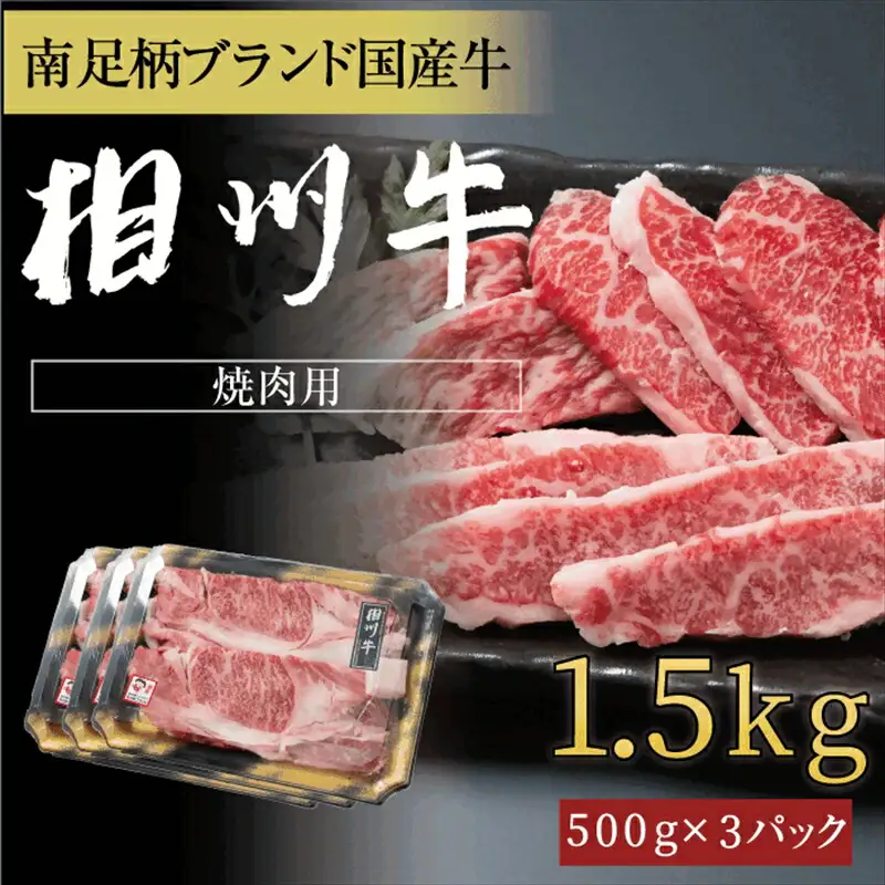 相州牛 焼肉・網焼き用カルビ　1.5kg（厚切り）【 牛肉 お肉 ブランド牛 神奈川県 南足柄市 】
