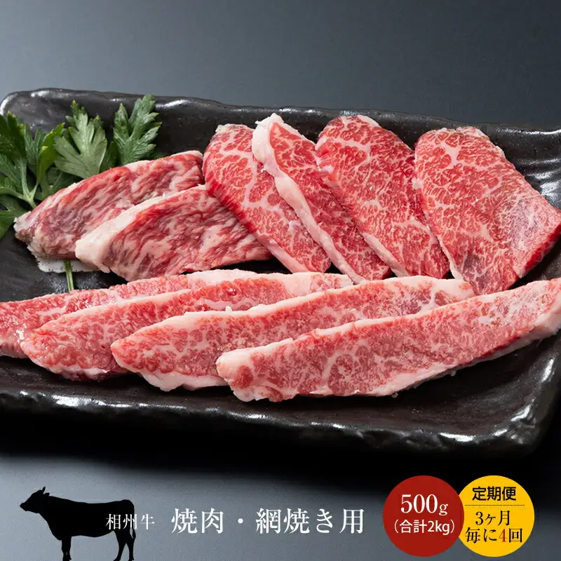 【定期便：3ヶ月毎に4回】相州牛（焼肉・網焼き用）500g【合計２kg】