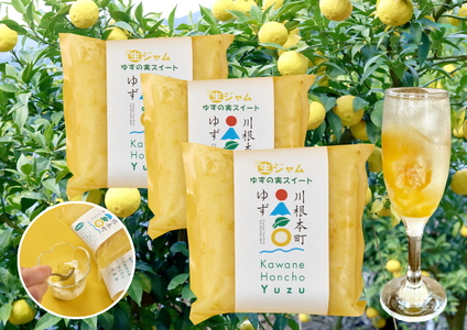 11-78  生ジャム ゆずの実スイートセット（冷凍）