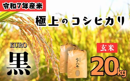 玄米 【20kg】 令和7年産 コシヒカリ 長野県産【708米 黒】7-37