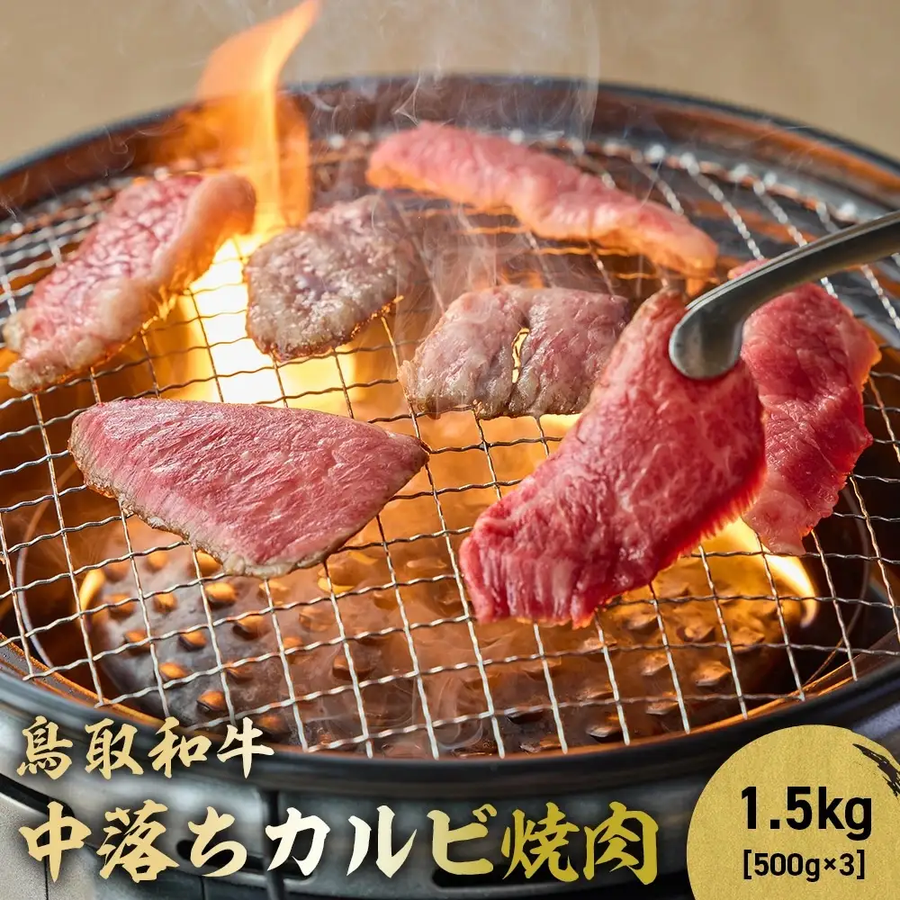 鳥取和牛 中落ちカルビ焼肉 1.5kg ( 500g × 3 ) 牛肉 焼肉 カルビ 黒毛和牛 KR1489