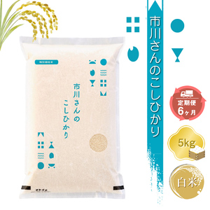 【令和7年産・白米5kg×定期便6カ月】特別栽培米 市川さんのこしひかり こしひかり 信州 こしひかり コシヒカリ 長野県 佐久市