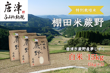 特別栽培棚田米「蕨野」5kg×3袋(合計15kg) 家庭排水が一切入らない自然水で作られたお米 10日に1回精米で新米のような味わい