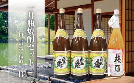 No.2121-1　白玉の露・梅酒（一升瓶）４本セットB