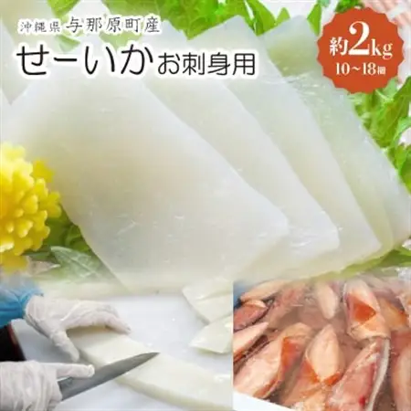 せーいか お刺身用 約2kg(10～18柵)【配送不可地域：離島】【1549419】
