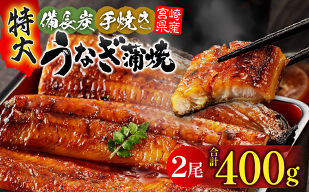 うなぎ 国産 蒲焼 2尾 うなぎ[備長炭手焼き 400g]