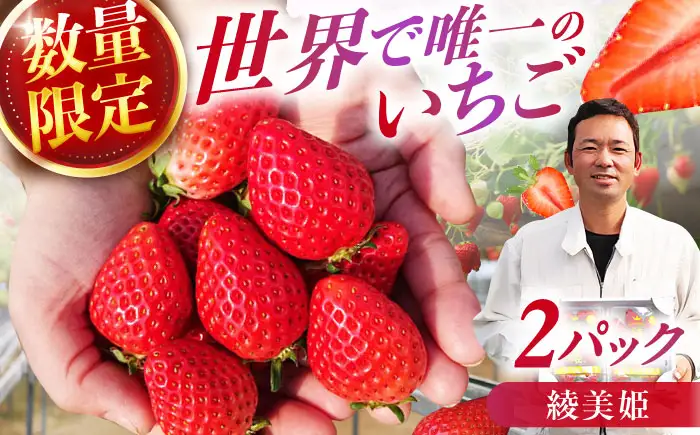 【★先行予約 2027年2月より発送】〈幻のいちご〉綾美姫2パック / いちご[AFCC001]