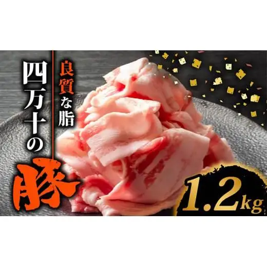 【 豚肉スライス 】 豚肉スライス 1.2kg