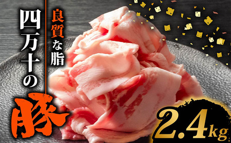 【 豚こま 】 豚肉 豚こま 2.4kg
