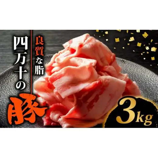 【 豚肉 】 豚肉切り落とし3kg