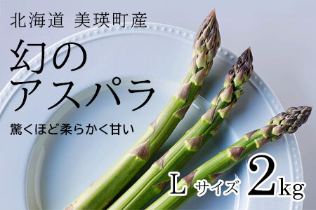 アスパラガス Lサイズ 2kg【令和8年産先行予約】北海道 美瑛町 ラスノーブル アスパラガス  [022-39]
