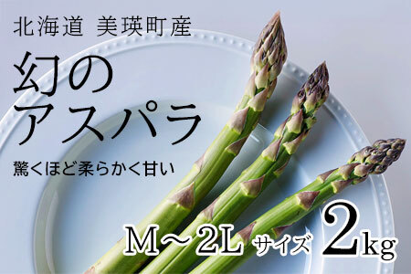 【令和8年産先行予約】美瑛町幻のアスパラ 本山農場のラスノーブル（グリーンアスパラ）M～2Lサイズ 2kg  [022-40]