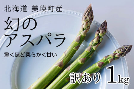 アスパラ 【令和8年産先行予約】【訳あり】 ラスノーブル アスパラガス 1kg  [012-183]