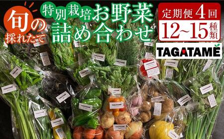 【定期便全4回】旬の採れたて 12～15種類お野菜詰め合わせセット TAGATAME タガタメ【野菜 特別栽培 大容量 有機野菜 農薬不使用 旬 無農薬】