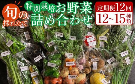 【定期便全12回】旬の採れたて 12～15種類お野菜詰め合わせセット(3～4名様) TAGATAME タガタメ【野菜 特別栽培  有機野菜 農薬不使用 旬 無農薬】