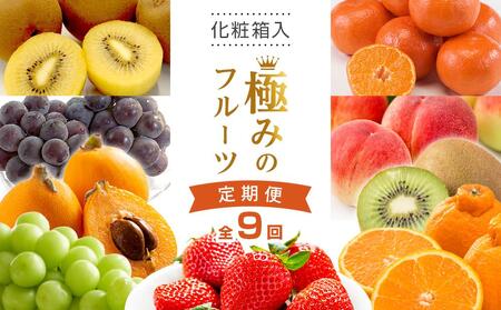 【全9回】極みのフルーツ定期便 (化粧箱入り)