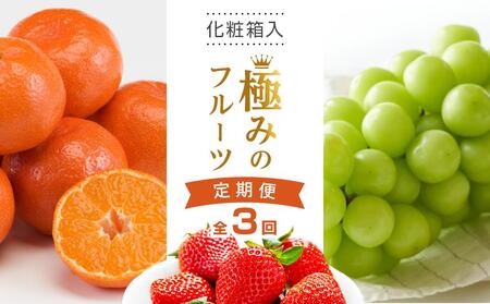 【全3回】極みのフルーツ定期便 (化粧箱入り)