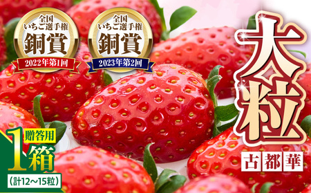 【2027年1月上旬～2月下旬発送】贈答用いちご【数量限定】『古都華』 いちご 数量限定 古都華 12～15粒 化粧箱 国産 国産苺 ストロベリー 果物 果実的野菜 フルーツ デザート おやつ 糖度 濃厚 香り 鮮やか 甘い ビタミン 奈良県産 お取り寄せ 贈答用 送料無料