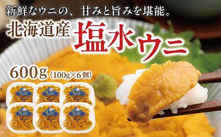 塩水ウニ 600g (100g×6個) 生うに ウニ 雲丹 ムラサキウニ バフンウニ 生鮮 無添加 魚介類 塩水 生食 北海道 松前町 送料無料 MATM003