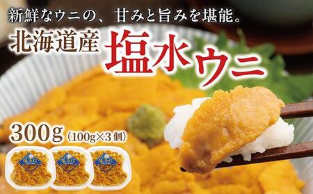 塩水ウニ 300g (100g×3個) 生うに ウニ 雲丹 ムラサキウニ バフンウニ 生鮮 無添加 魚介類 塩水 生食 北海道 松前町 送料無料 MATM009