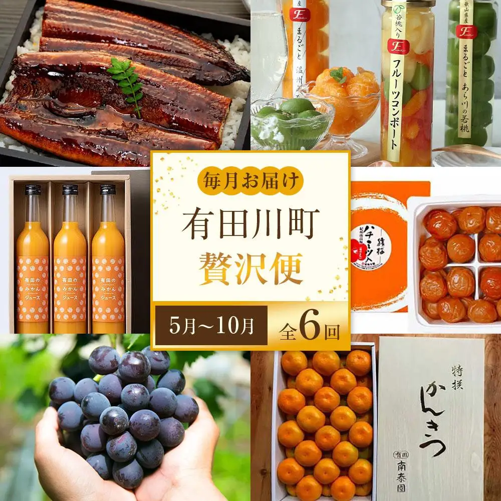 全6回 有田川町から贅沢定期便（5月～10月発送）フルーツ うなぎ スイーツ 梅干し など